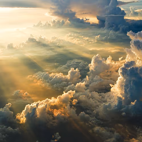 beauty is all around us