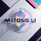 Mitosis_fan