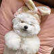 귀요미