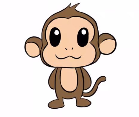 monkey