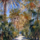 palm trees