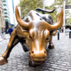 Bull-market