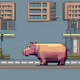 hippo cross the street