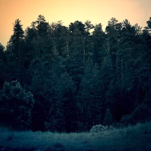 Fighting Relying Copying