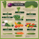 Guidelines Cancer