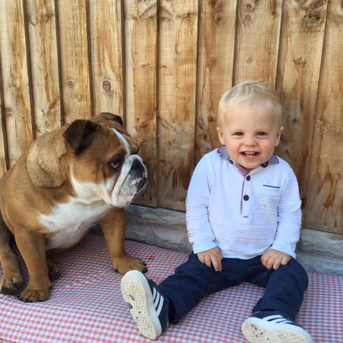 Best Pet Frens