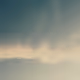 Bio