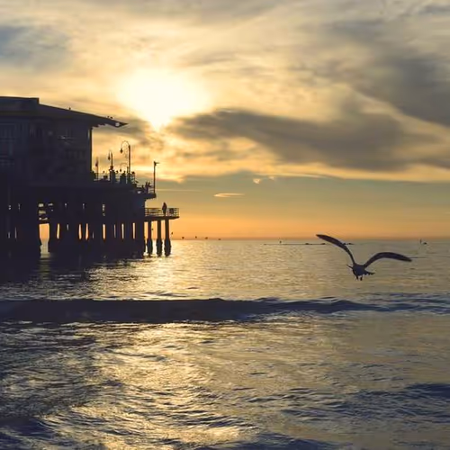 Warrior Activities Editing