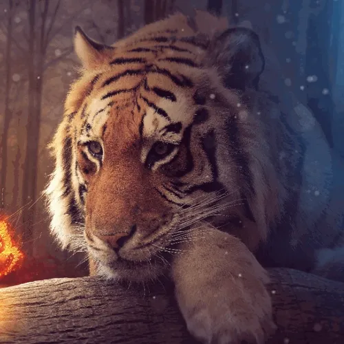 Manipulation Wallpaper