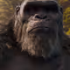 Godzilla x Kong: The New Empire
