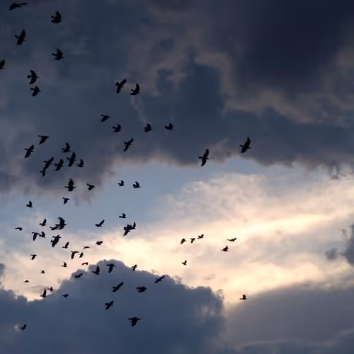 sky