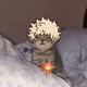 VARF DAO