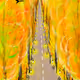 gogh