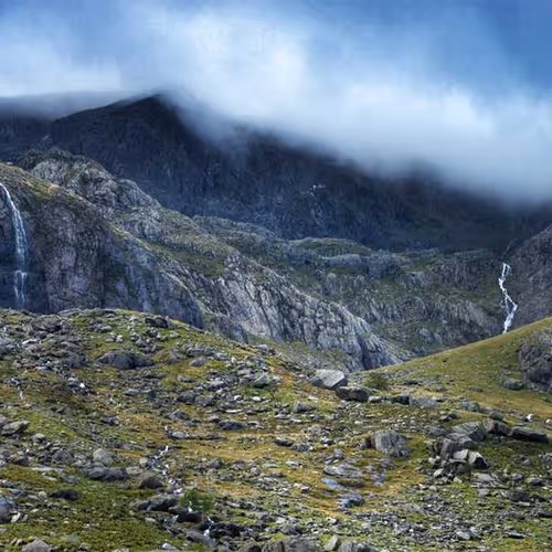 Maximize Palestine Wise