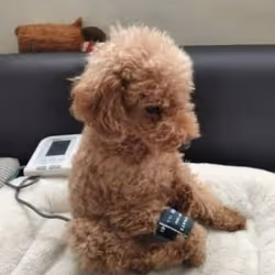 cute