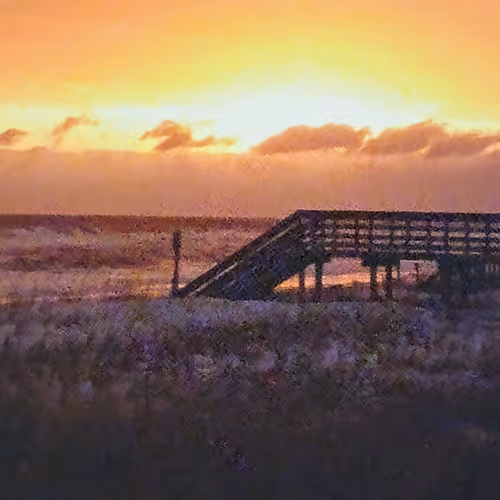 Ocean Scenery