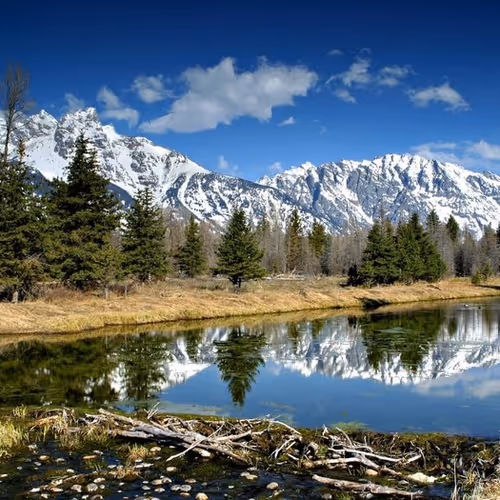 Spring-summer nature