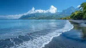 Sea dream....