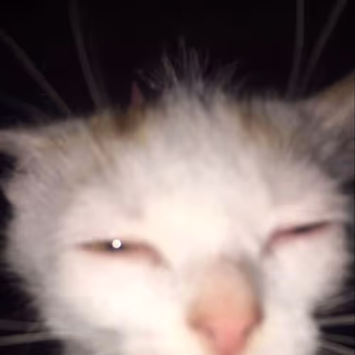 hi