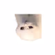 catto