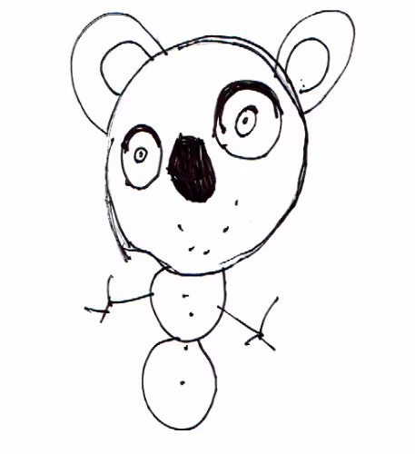 Koala Bear Lily