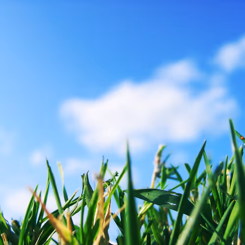 0x6ba977868cf05176bb1891214dc937dbe6af3419