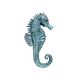 seahorse