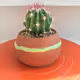 PlAnTy!