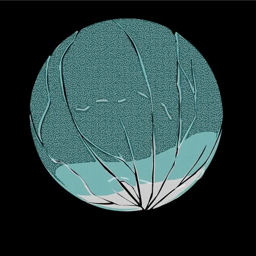 0xb2b5260407e114b58d9a68d713b94a3ce4143a85