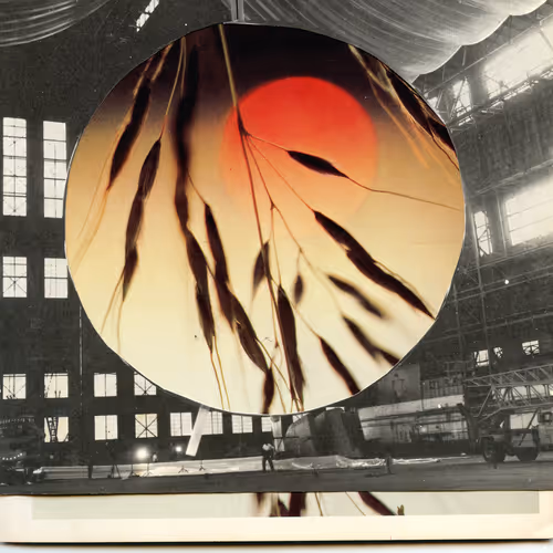 What dreamed last night