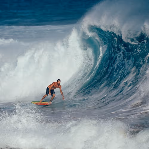 2025 Bull RUN Upcomming