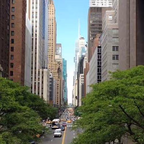 Volunteers Elderly Degree