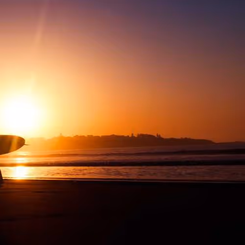 Painful Wine Verified