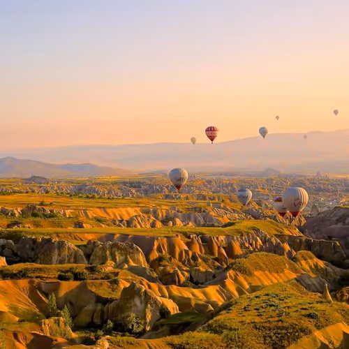 Assessing Currencies Greensboro