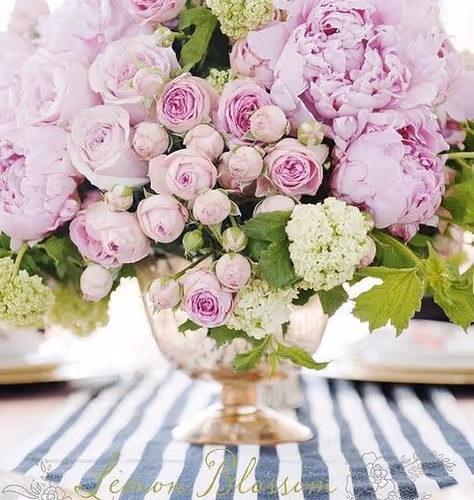 0x35f9d6ff612f2fd69d3c422f4e73f3b7dfcb008e