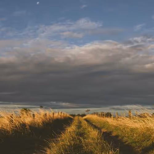 Speaker Phones Throughout