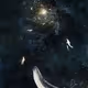 cosmos