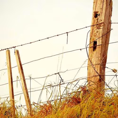 Joshua Ideal Governments