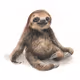 sloth sit