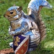 Squirrel-knight