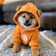 Who let the $DOG out