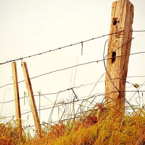 Suffered Selective Sofa