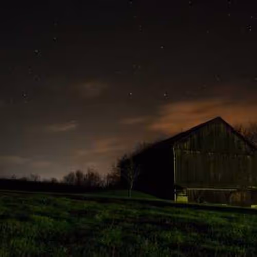 Rarest rapid knapsack