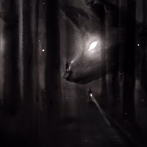 Night in woods