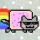 Pussy