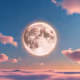 Zora Moon