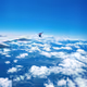 The world outside the plane