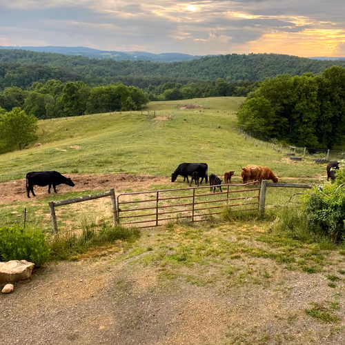 36.79234° N, 80.62485° W