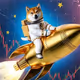 Shiba on Rocket