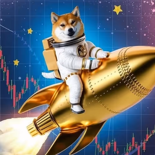 Shiba on Rocket
